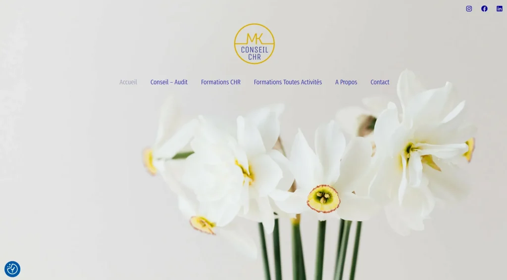 Site vitrine WordPress par Ikoonos - webdesign webmaster à Pau